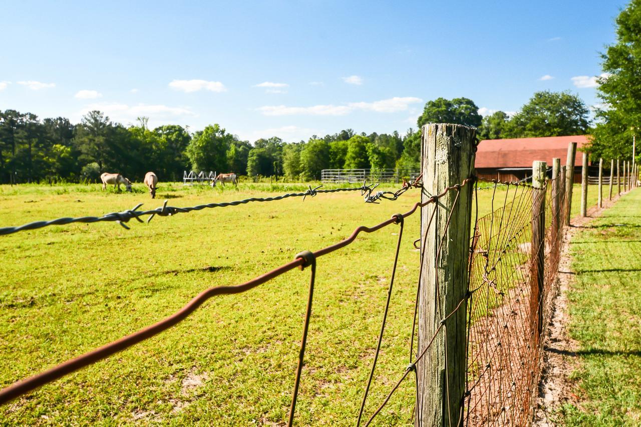 Dublin Farm住宿加早餐旅馆 外观 照片