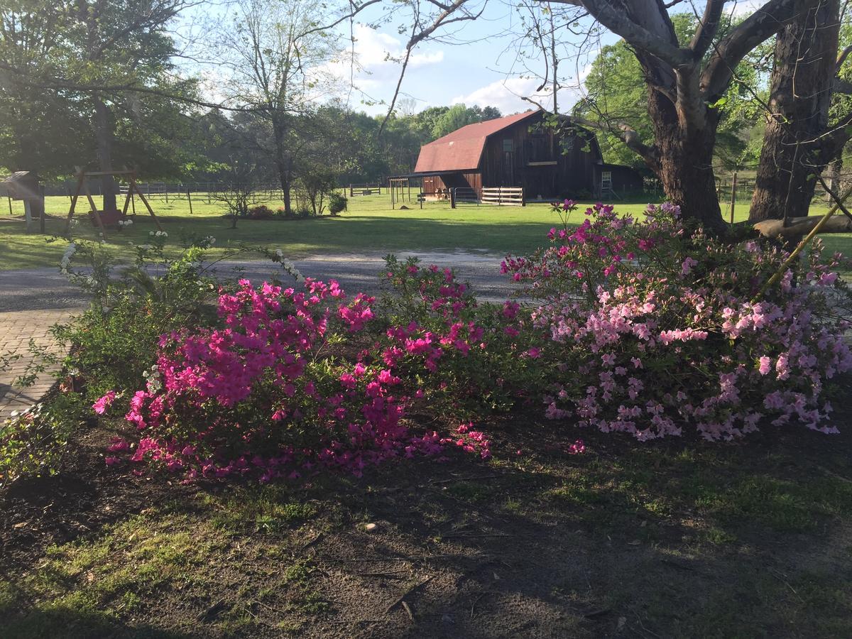 Dublin Farm住宿加早餐旅馆 外观 照片
